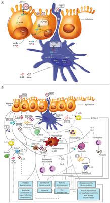 Cytokines in the Respiratory Airway as Biomarkers of Severity and Prognosis for Respiratory Syncytial Virus Infection: An Update